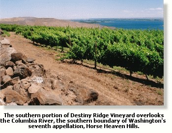 Destiny Ridge Vineyard overlooking the Columbia River