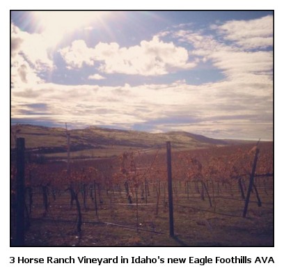 3 Horse Ranch Vineyard in Idaho's Eagle Foothills AVA